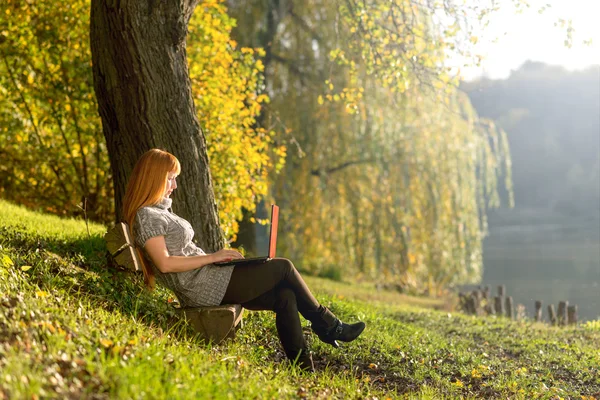Frau blickt im ruhigen Herbstwald auf Laptop — Stockfoto