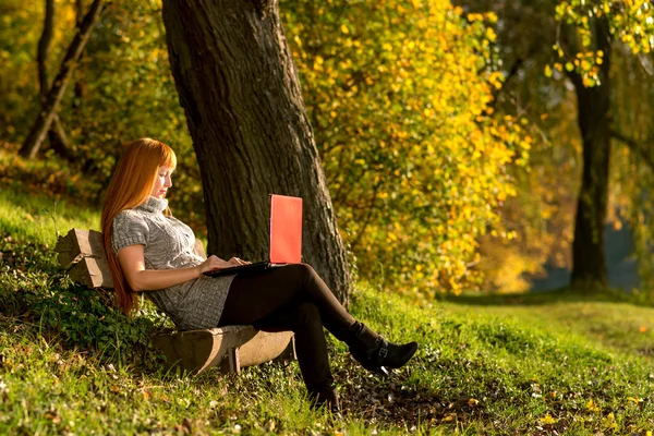 Frau blickt im ruhigen Herbstwald auf Laptop — Stockfoto