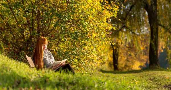 Mulher ler o livro na floresta de outono — Fotografia de Stock