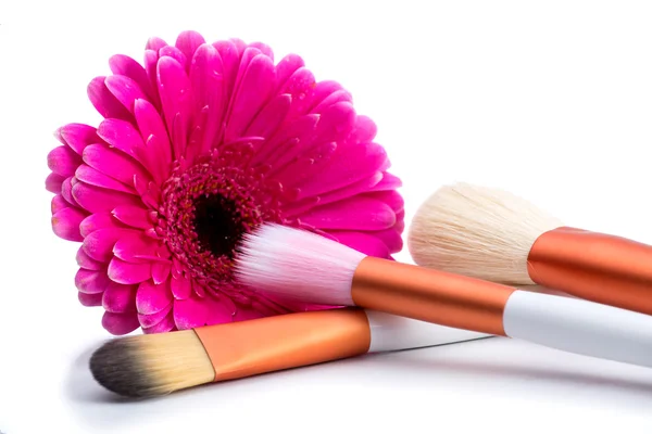 Escovas de maquilagem com a grande flor rosa — Fotografia de Stock