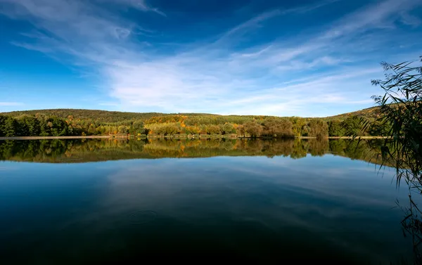 Calmo lago costa — Fotografia de Stock