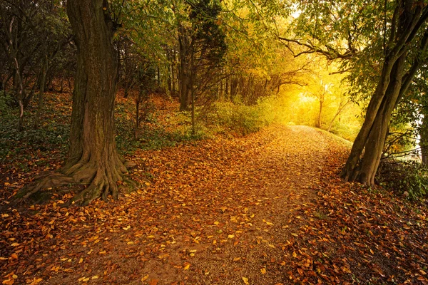 Herfstpark — Stockfoto