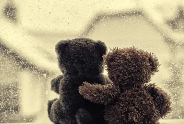 Bears in love's embrace — Stock Photo, Image