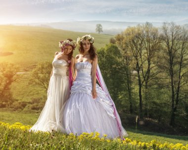 2 Beautiful bride in the outdoors clipart