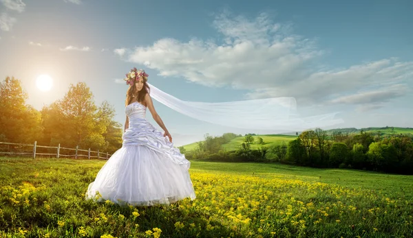 Bella sposa in mezzo alla natura — Foto Stock