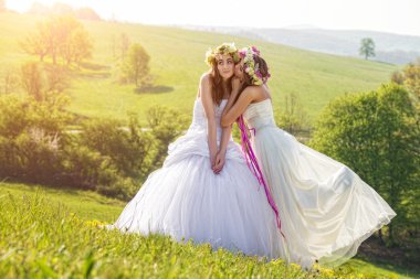 Two beautiful bride on a meadow clipart