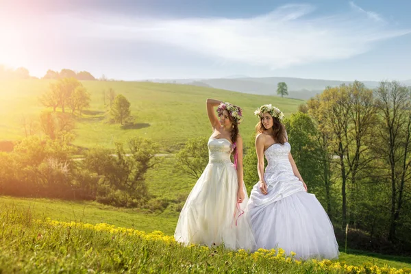 Two beautiful bride on a meadow — Stock Photo, Image