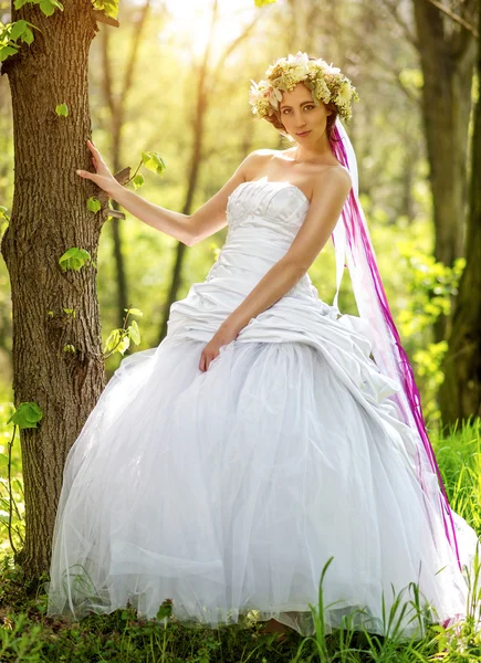 Beautiful bride relying on the tree Royalty Free Stock Images