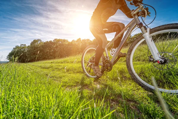 Desporto de bicicleta de bicicleta no belo prado — Fotografia de Stock