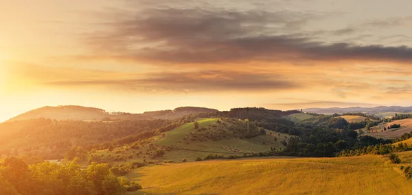 Beautiful hilly field — Stock Photo, Image