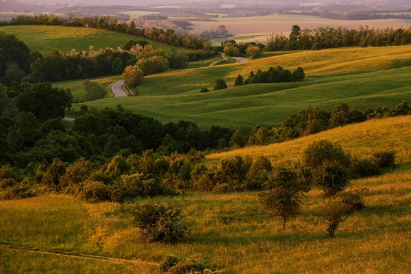 Повний зелений горбистий краєвид — стокове фото