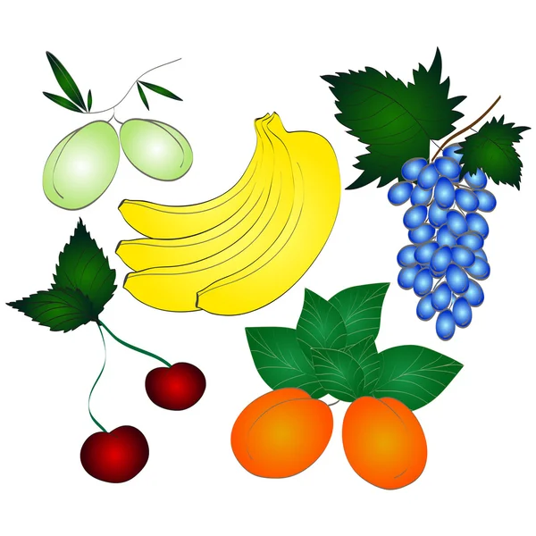 Fruits frais juteux ensemble . — Image vectorielle