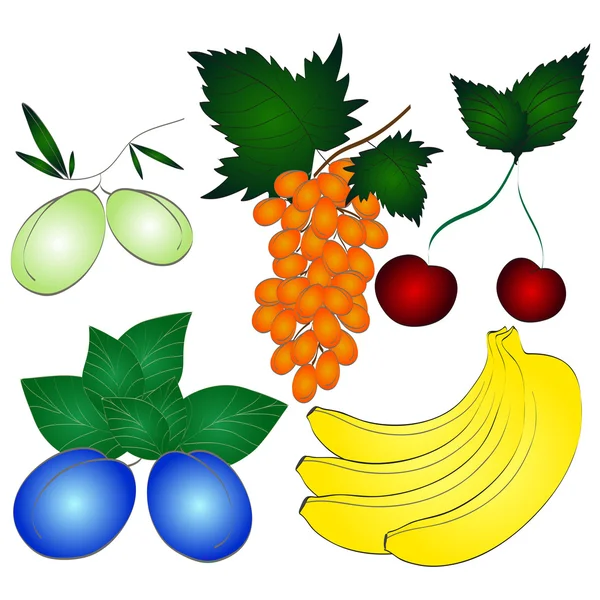 Fruits frais juteux ensemble . — Image vectorielle
