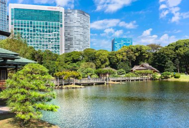 Tokyo, Japonya - 28 Ekim 2021: Otsutai Köprüsü Hama-rikyu Bahçeleri 'nin Shiori-no-ike gölünden geçerek geleneksel Japon chashitsu çay odası Tsubame-no-ochaya ile Shonoji Adası' na gidiyor..