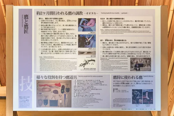 Tokyo Japan Апреля 2021 Инструкция Объясняющая Соколы Приручают Обучают Своих — стоковое фото
