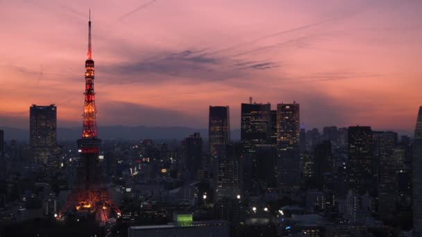 Tokyo Japan June 2021 Static Video Pink Sunset Sky Cityscape — стокове відео