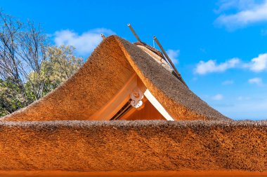 Japon Çay Evi 'nin çatısına yakın çekim Kayabuki adlı geleneksel çatı döşeme metoduyla yapılmış yoğun bir şekilde paketlenmiş kuru saman yığınını mavi gökyüzüne karşı kalın bir katman gibi kullanarak..