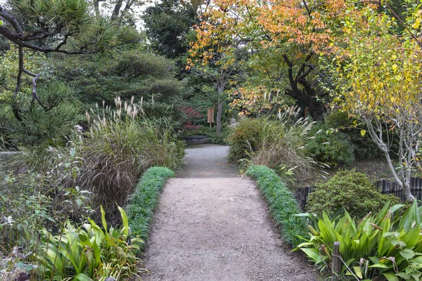 Tokyo Japan November 2021 Bridge Bordered Lawn Each Side Crossing — Foto de Stock