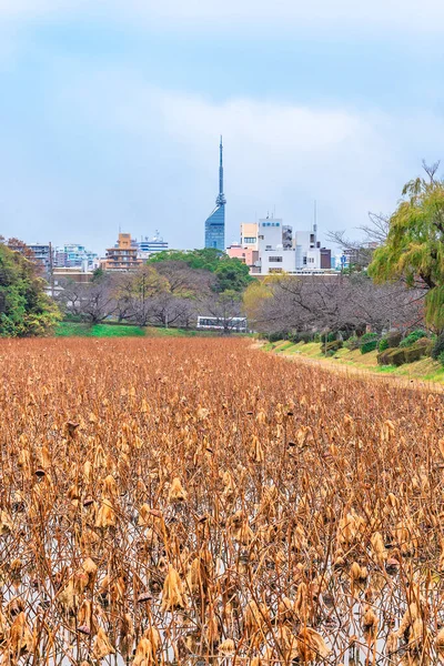 Tokyo Japan Dezember 2021 Ohori Wassergraben Der Fukuoka Burg Voller — Stockfoto