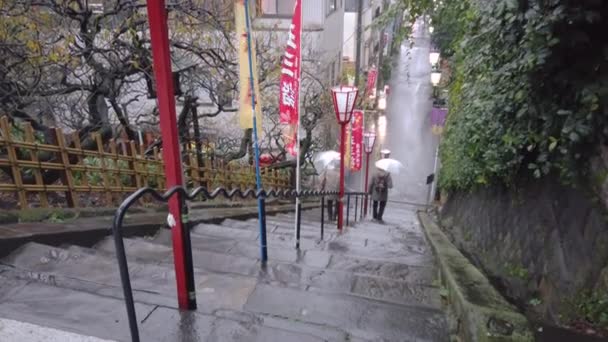 日本东京 2020年11月23日 秋季菊花节期间 长辈们在雨中拿着雨伞从玉岛天门寺陡峭的楼梯上滑落的视频 — 图库视频影像