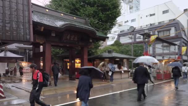 Tokyo Japan Октября 2019 Года Видео Стариков Зонтиками Дождливый День — стоковое видео