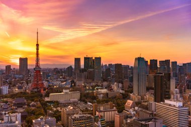 Tokyo ikonik kulesi tarafından gözden kaçırılan Shibadaimon bölgesinde güzel pembe ve turuncu bir gün batımının kuş bakışı görüntüsü..