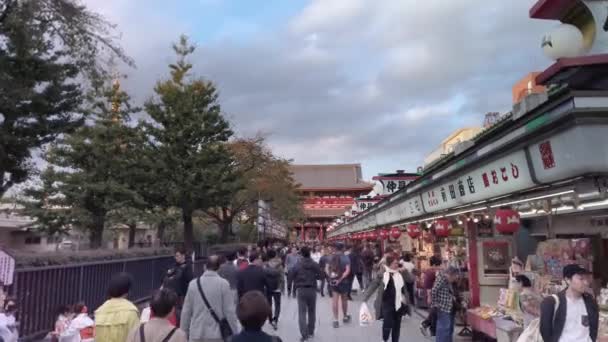 Tokyo Japan Januari 2019 Tilt Video Skildrar Turister Som Promenerar — Stockvideo