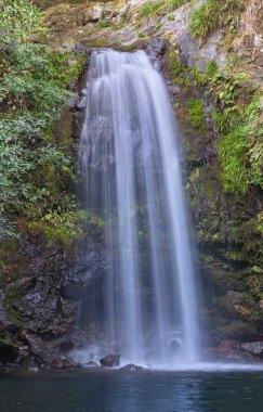 Yakın çekim ve Todorokikyo 'nun uzun süre maruz kalması, adını Nagasaki' deki Sakai Bölgesi Doğal Parkı 'ndaki Sakai nehri boyunca akan sağırlaştırıcı kükremeden alıyor..