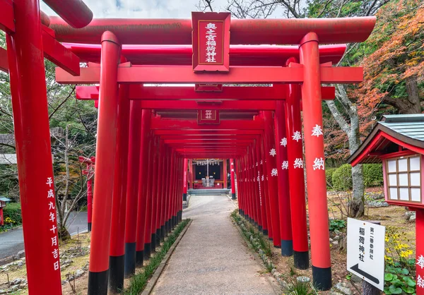 Kyushu Japonsko Prosinec 2021 Nástup Rumělce Shinto Torii Brány Podél — Stock fotografie