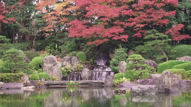 2021年12月7日 九州福冈 秋雨落在红梅枫树上的日本大和园内的一木一池沙南 小池一木瀑布的静态录像 — 图库视频影像