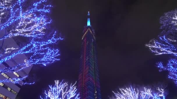 Kyushu Fukuoka Diciembre 2021 Vídeo Nocturno Árboles Iluminados Con Guirnaldas — Vídeos de Stock