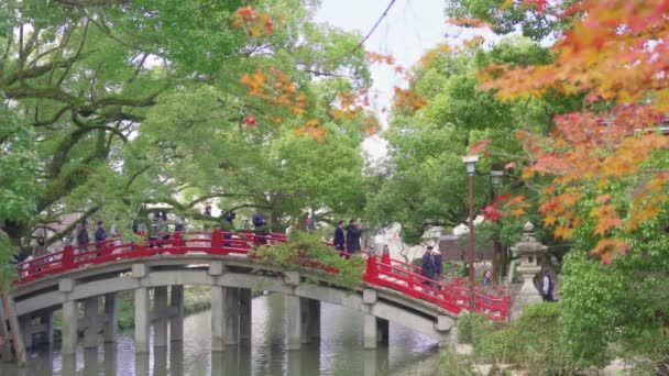 2019年12月7日 日本九州 由一群观光客在日本秋叶环绕的池塘上穿过大藏寺太子桥的录像 — 图库视频影像