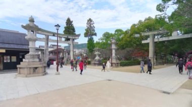 Kyushu, Japonya - Aralık 07 2019: Japon Dazaifu türbesindeki Sugawara no Michizane 'ye adanmış taş Torii portallarının kendilerini iyileştirmek için bir öküz heykelini okşayan Çinli turistlerin videosu.