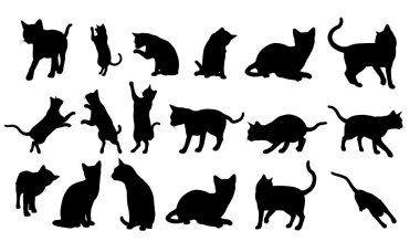 siluet kedi