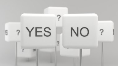 Evet mi hayır mı?