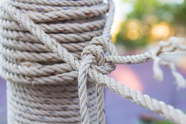 Closeup roll of rope — Stock Photo, Image