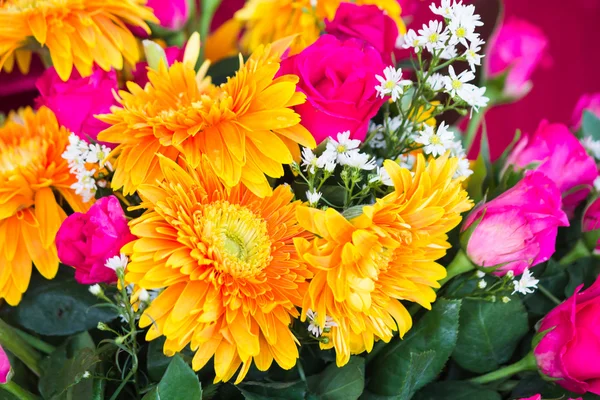 Kleurrijke bloemen — Stockfoto