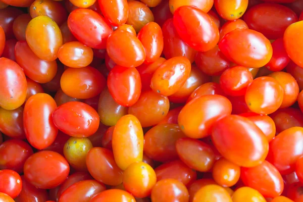 Photo of cherry tomatoes — Stock Photo, Image