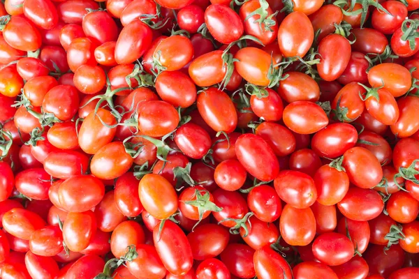 Close up cherry tomatoes and colorful — Stock Photo, Image