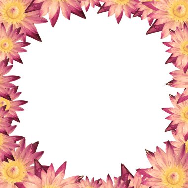 kalp anahat çerçeve lotus veya nilüfer tasarım