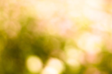 soyut renkli bahar arka plan