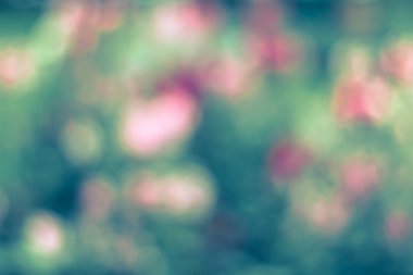 soyut renkli bahar arka plan