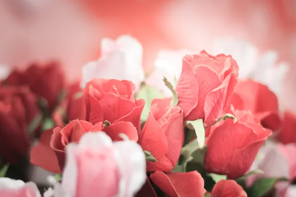 Vintage tarzı kırmızı ve pembe güller için arka plan yakın çekim — Stok fotoğraf