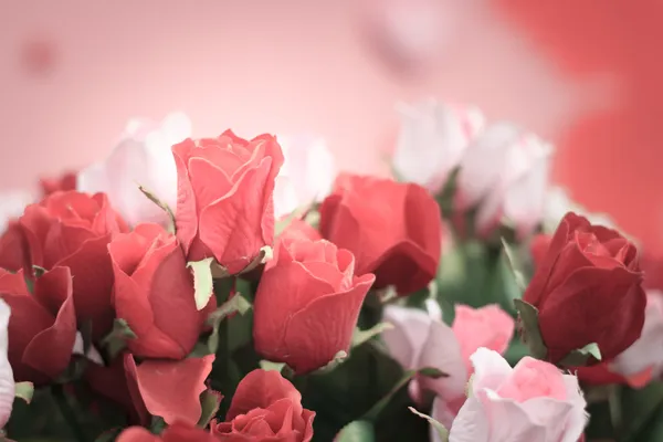 Vintage tarzı kırmızı ve pembe güller için arka plan yakın çekim — Stok fotoğraf