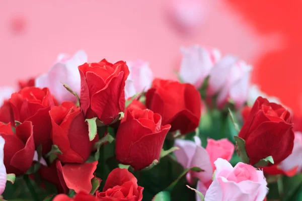 Kırmızı ve pembe güller için arka plan yakın çekim 