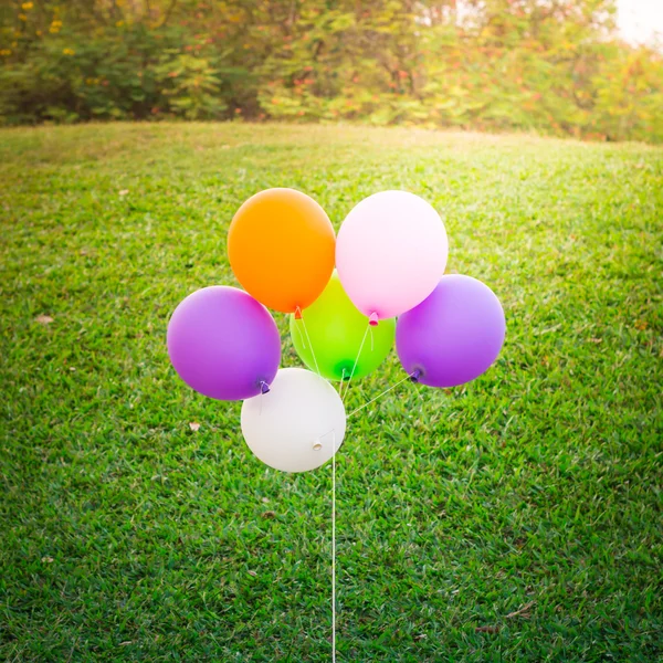 Färgglada ballonger solnedgång tonen på grönt gräs bakgrund — Stockfoto