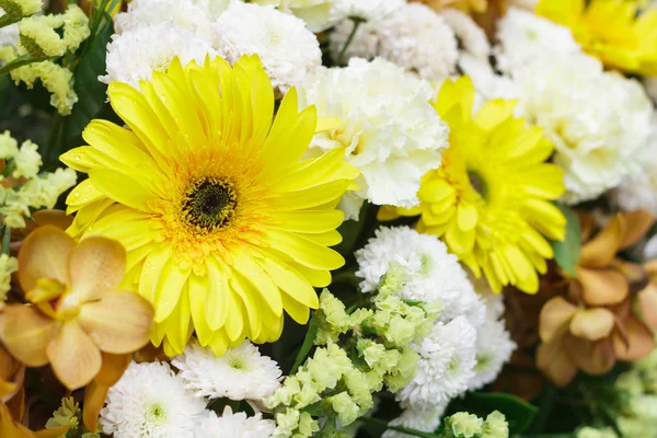 Vacker bukett med blommor — Stockfoto