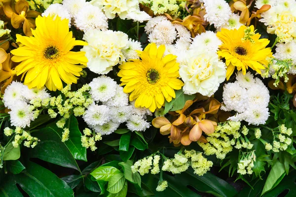 Mooi boeket met bloemen — Stockfoto