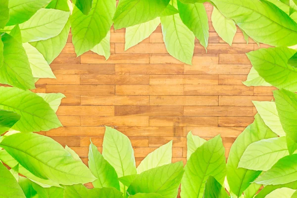 Wood block wall texture — Stock Photo, Image