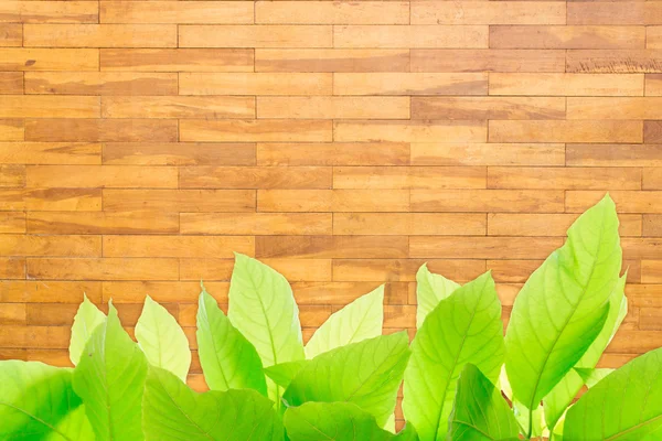 Wood block wall texture — Stock Photo, Image